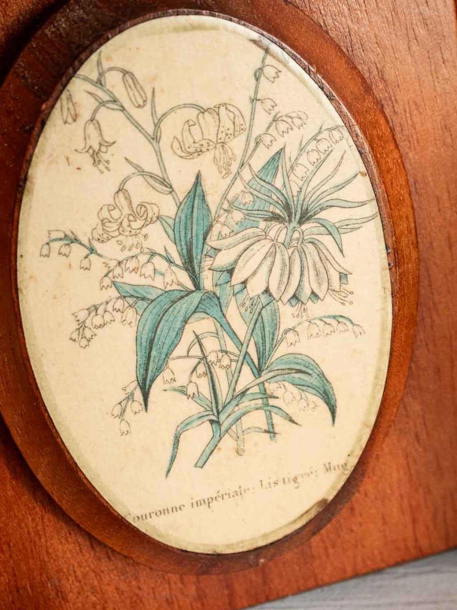 Plaque décorative « herboriste » en bois – Image 9
